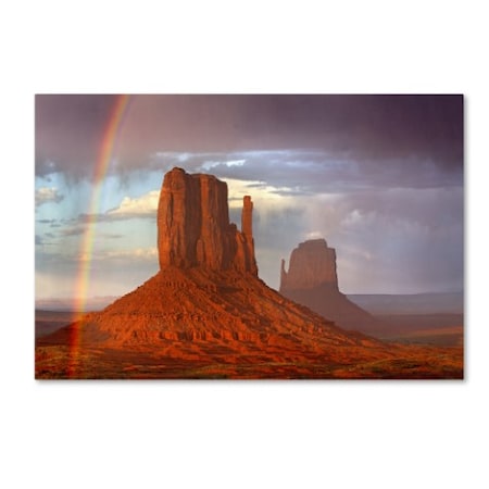 Mike Jones Photo 'Mittens Rainbow' Canvas Art,16x24